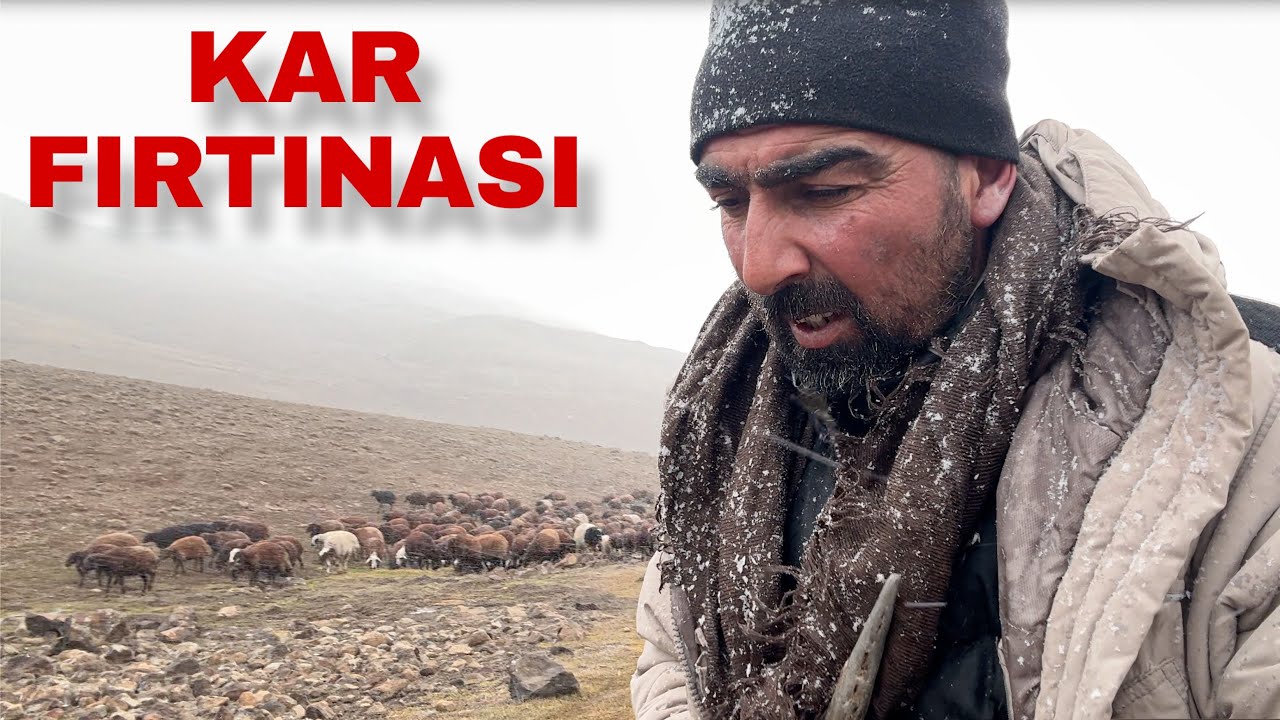 SİNEK YAYLALARINDA SONBAHAR | IĞDIR-AĞRI SINIRINDA FIRTINA 