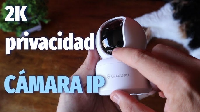 YI Cámara de Vigilancia 1080p Dome Guard Camara IP Sistema de Seguridad  WiFi de Interior Full HD, Detección de Movimiento, Visió Tipo de enchufe  Enchufe europeo Tamaño del sensor 7day Record 6month