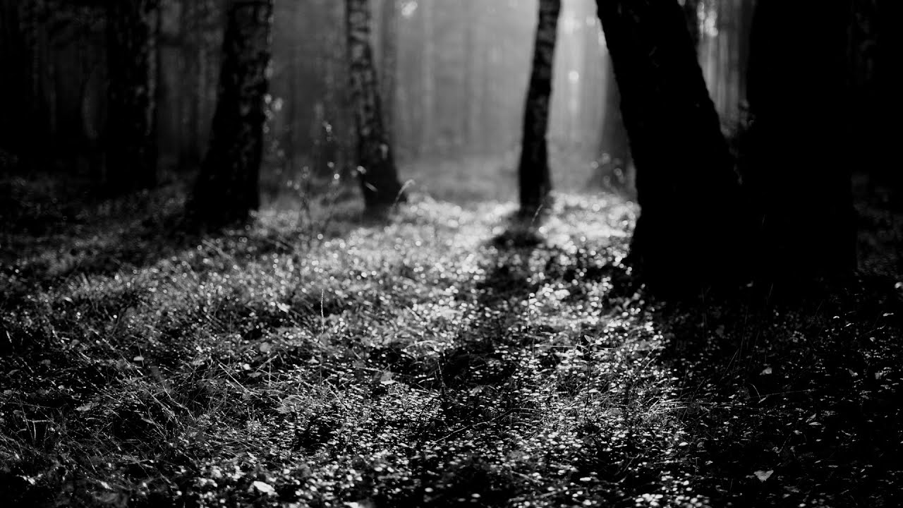 Watch Lautaro Ibañez - Twilight (Original Mix) on YouTube Watch Lautaro Ibañez - Twilight (Original Mix) on YouTube
