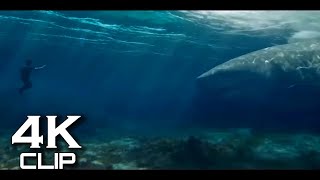 THE MEG 2 - Final Trailer (2023) Jason Statham - New Megalodon Shark Movie - 4k
