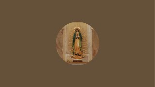 Our Lady of Guadalupe San Bernardino is live!