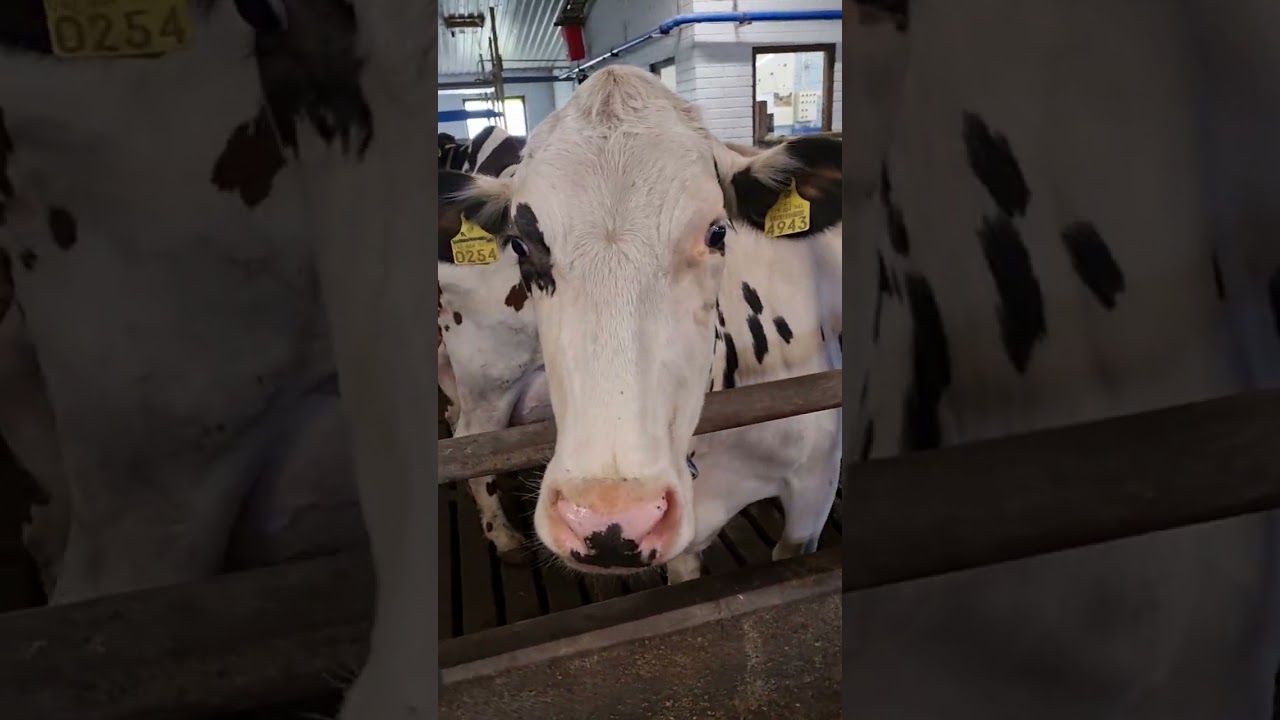 Tuleville lomittajille vähän infoa. 😊 Tervetuloa mukaan tuottamaan puhdasta Suomalaista ruokaa!💕