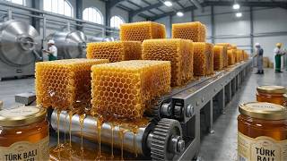 Inside a Turkish Honeycomb Factory: The Genius Beekeeping Method No One Shows You!