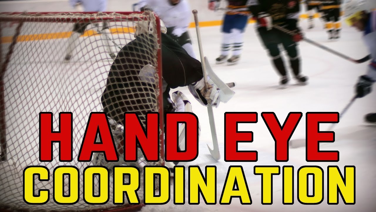 OffIce Goalie Drill for HandEye Coordination and Quickness YouTube