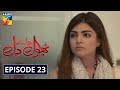 Bhool Jaa Ay Dil Episode 23 HUM TV Drama 16 December 2020