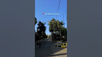 ويبقى ضوء الشمس في كل صباح رسالة من ربك أنه مازال لديك فرصة لبداية جديدة 