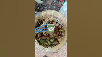 composting for beginners  #composting #organicgardening #ecofriendly #compostbin #gardencompost