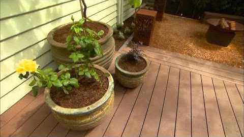 The Garden Gurus - Ekodeck Peformance