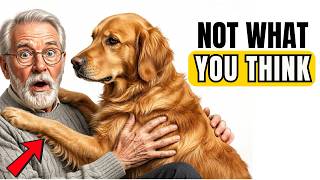 Your Dog Isn't Being Needy When They Suddenly Climb On You