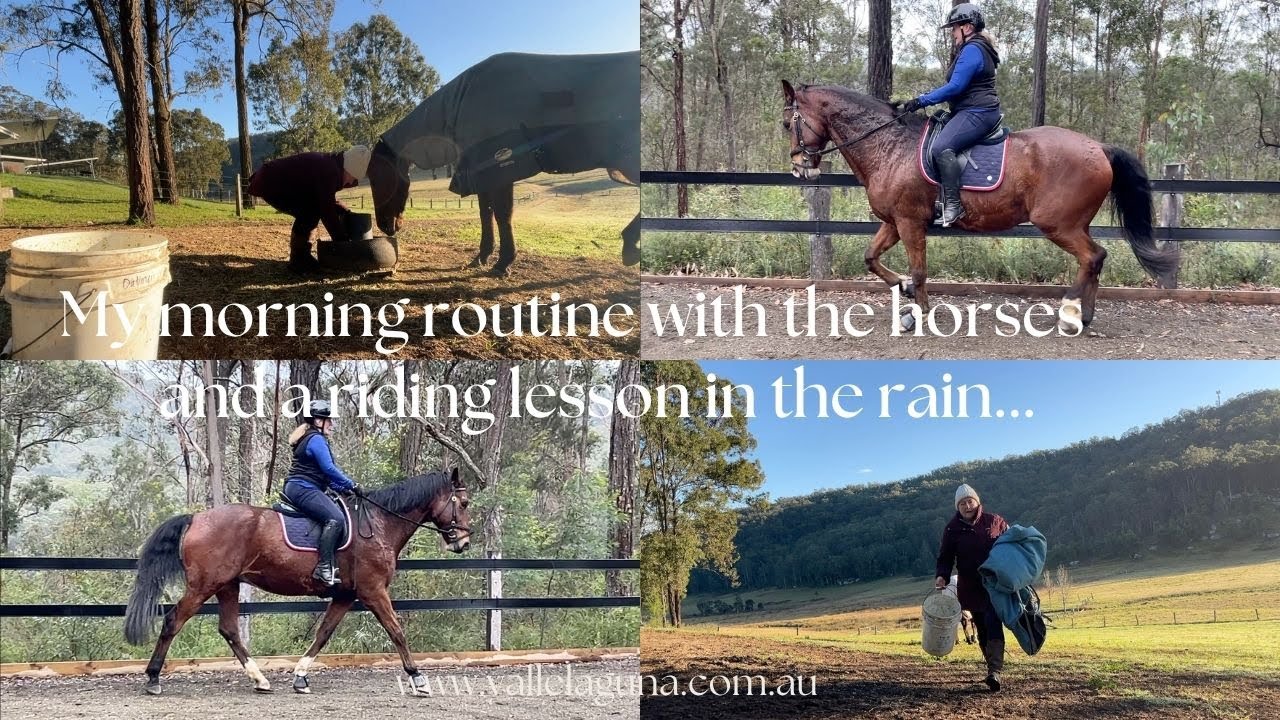 1 Am Riding My morning routine with the horses and a Riding Lesson in the rain ...