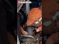 Fast Coconut Husking Technology Using Rotating Cutting Discs #worker #process #foodprocessing