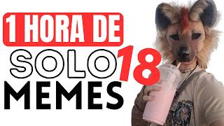 1 HORA de SOLO MEMES #18