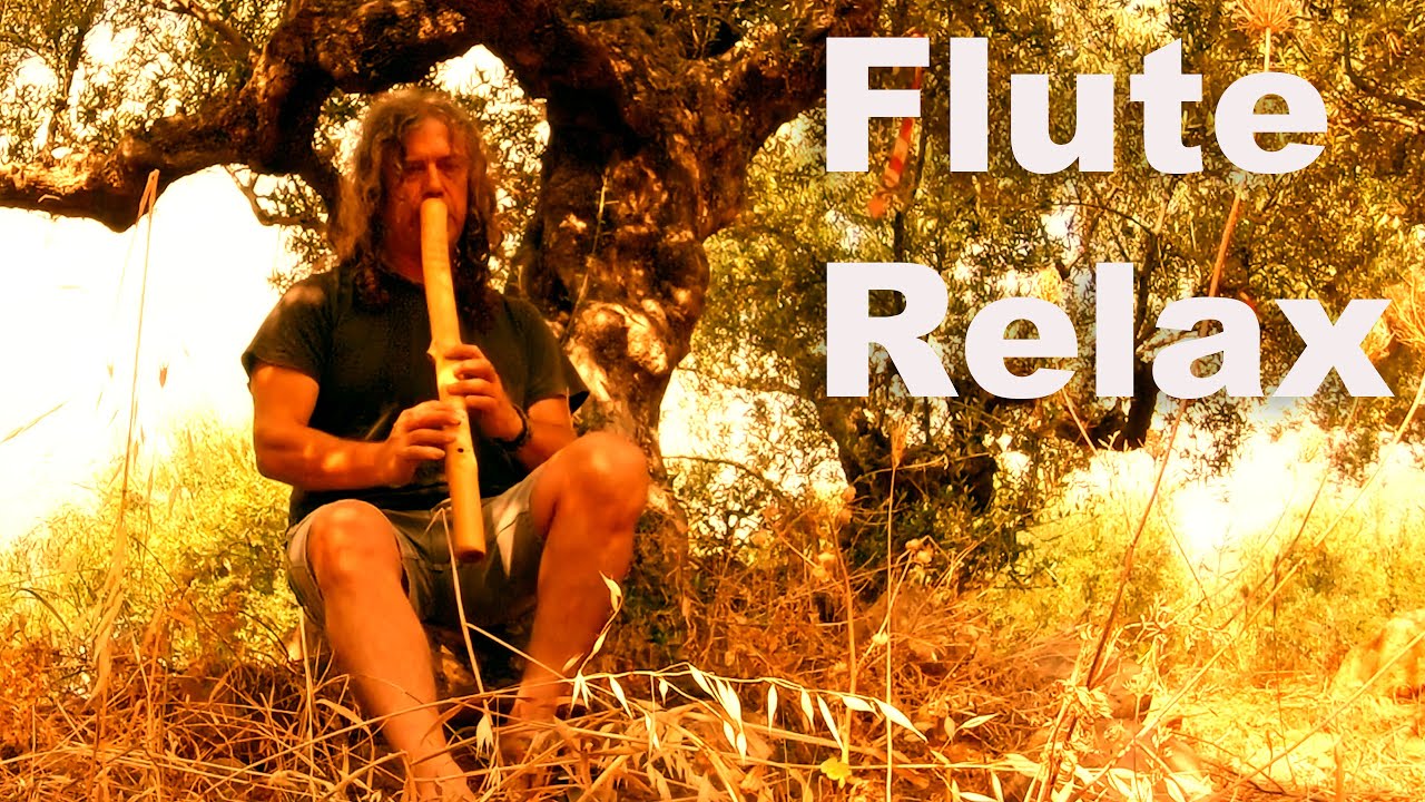 NATIVE AMERICAN FLUTE & Nature Sounds Playing Flute with Cicadas