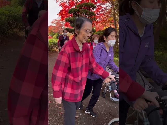 Autumn foliage viewing outing recreationNEW!