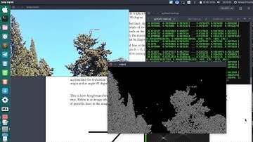 Real Time Object(Bird) Detection - OpenCV
