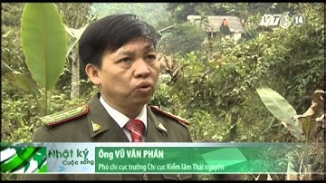 VTC14_Yếu kém phương tiện chữa cháy rừng