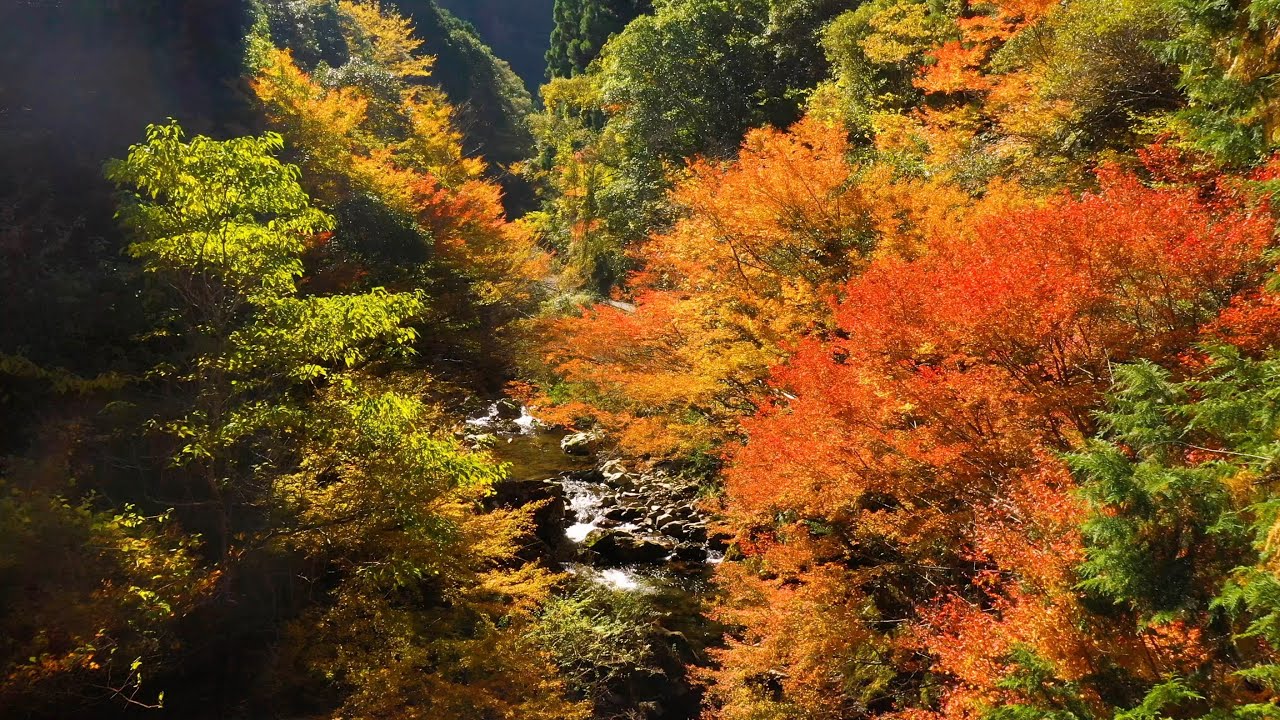 石積と紅葉の里 野々川 四万十川支流 Youtube