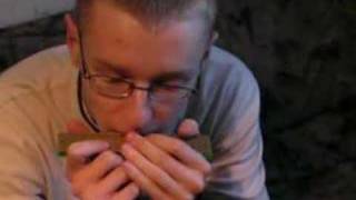 Beatbox Harmonica: americana made by eFse7en