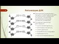 Лекция 3 МАТРИЧНЫЕ БИОСИНТЕЗЫ