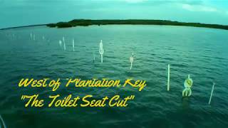 TOILET SEAT CUT