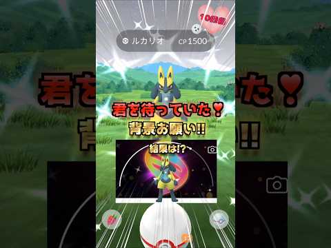 レイド色違い集♪GO Tourカロス!!【ポケモンGO】