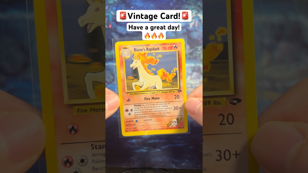 Отличный день! 