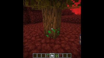 Will a tree grow in the nether?