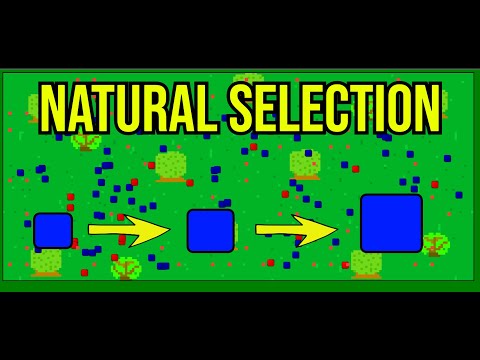 Natural Selection Simulator In JavaScript?