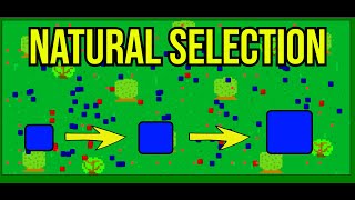 Natural Selection Simulator In JavaScript