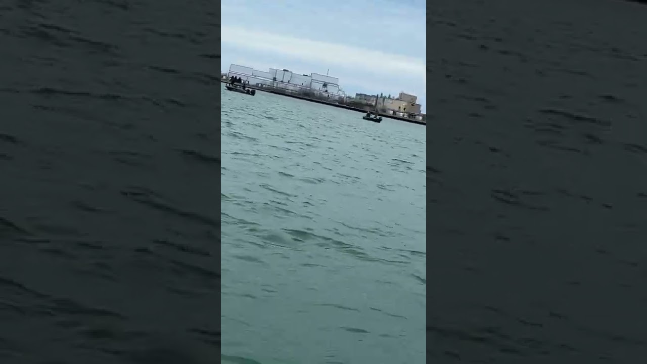 Walleye Detroit river 2022