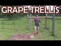 DIY grape trellis system build