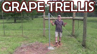 DIY grape trellis system build