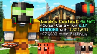 max pest farming is completely wild... | HYPIXEL SKYBLOCK