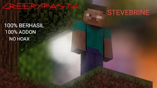 tutorial cara membuat addon ( STEVEBRINE ) di Minecraft menggunakan apk screenshot 5