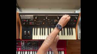Moog Little Phatty simple bass patch = pure raw analog magic