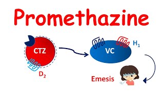 Promethazine tablets - Mechanism, Precautions, side effects & uses