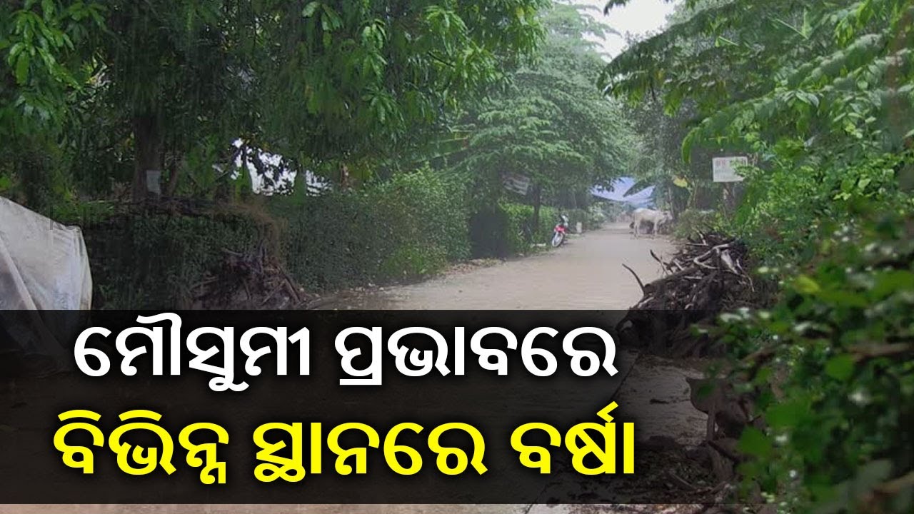 Monsoon Rain: IMD Issues Heavy Rainfall Warning For Odisha || KalingaTV