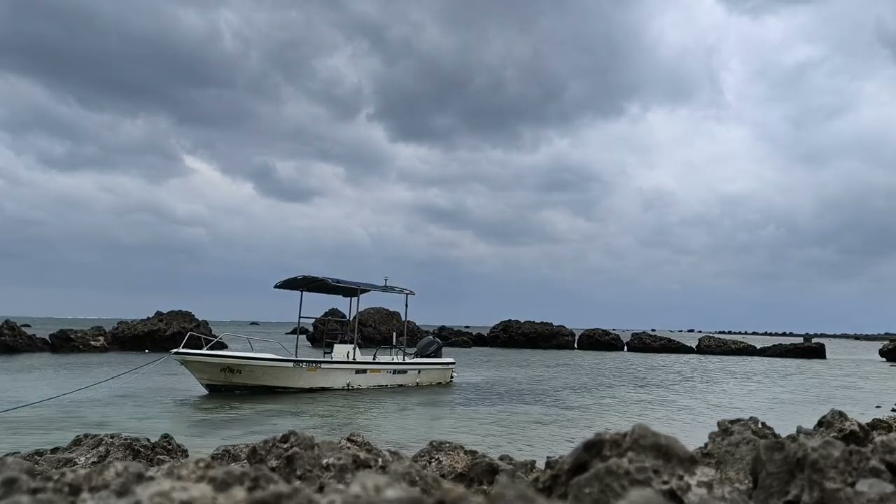 白保海岸🇯🇵世界有数のアオサンゴの生息地は、1kmくらい沖に出た所に広がってるんだって〜