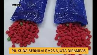 Pil kuda bernilai RM23.6 juta dirampas
