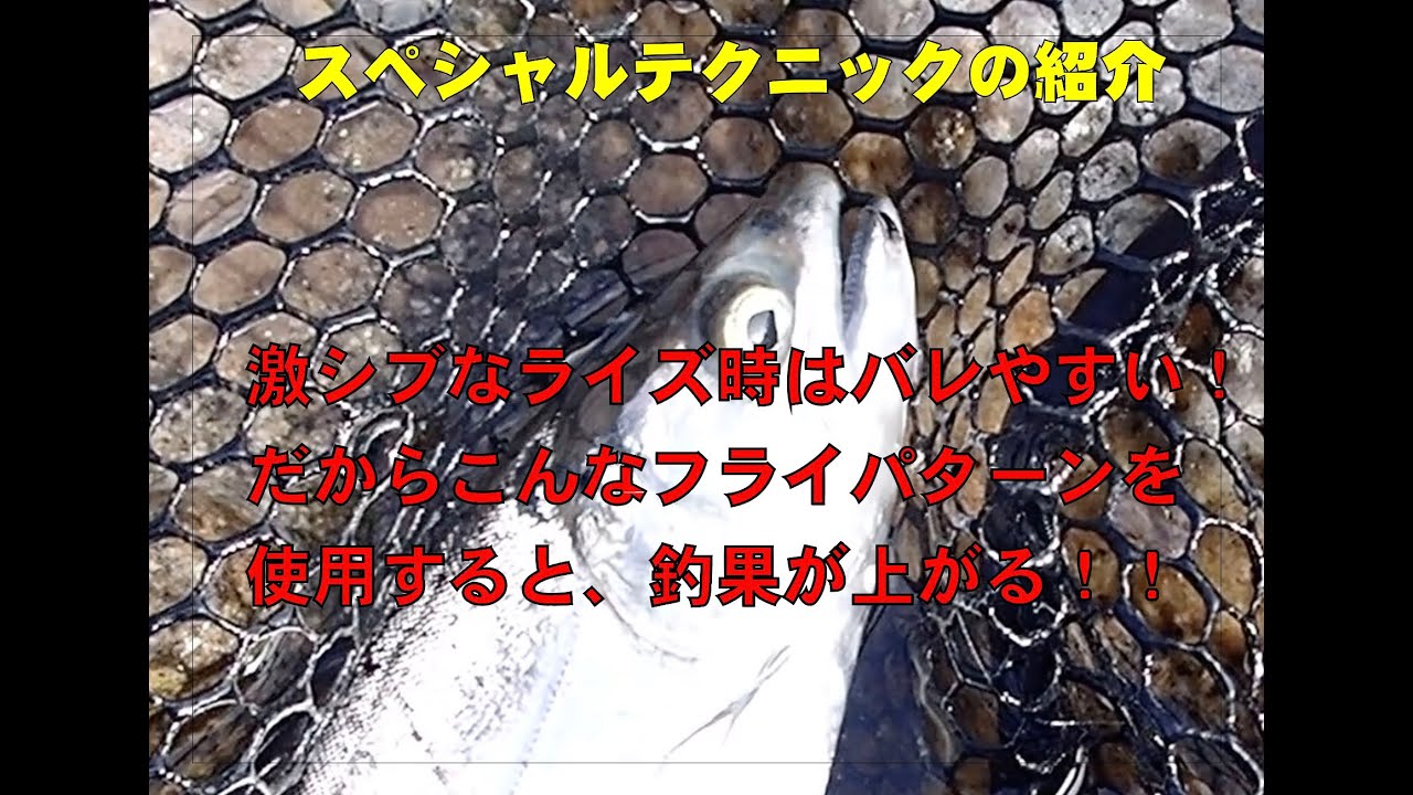激シブなライズに使用するフライパターン - YouTube