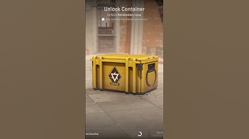 Opening a CS2 Case | Day 1