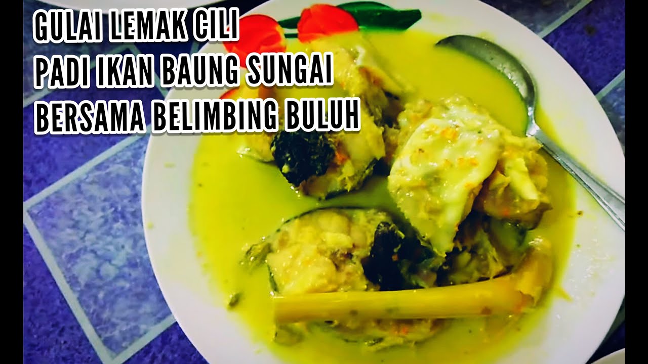 Resepi Gulai Lemak Ikan Baung - copd blog r