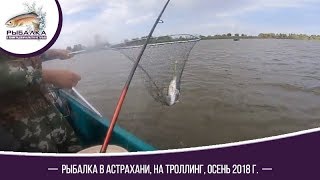 Рыбалка в Астрахани , на троллинг.  Осень 2018