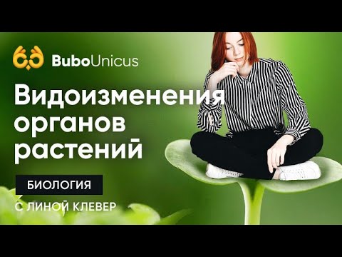 Видоизменения органов растений | БИОЛОГИЯ ЕГЭ | Лина Клевер