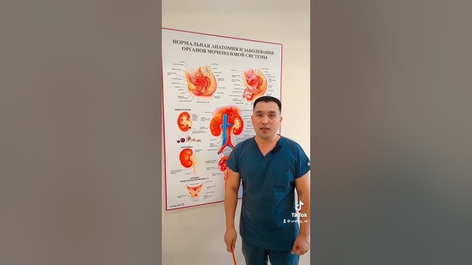 swapface nastasya samburskaya терең жалған 18