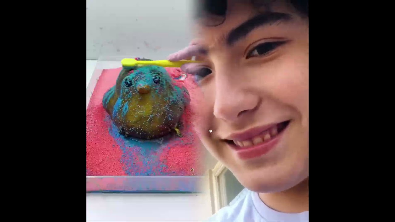 MI PLUMON SE SECÓ 😭😭  Leo Study
