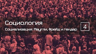 Социализация: обобщенный другой, теория зеркального Я, тотальные институты - СОЦИОЛОГИЯ 4 - ТЕЛОС