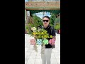 刷到这条视频的希望各位给我点点赞#翡翠珠宝 #缅甸翡翠 #翡翠私人定制 #日常分享 #以翠会友