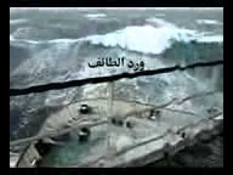 سفينة على وشك تغرق بس ربك ستر