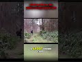 Bigfoot's Stride: Analyzing the Cryptid's Footprints #shorts